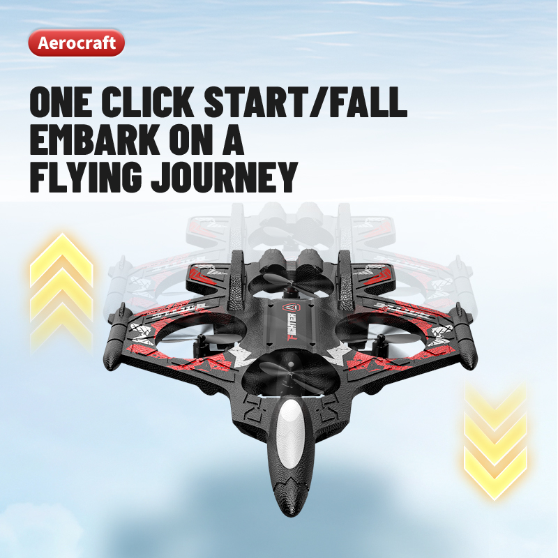 2.4G EPP Foam RC Plane Remote  - đánh giá và giá Drone Rc Fighter Jet